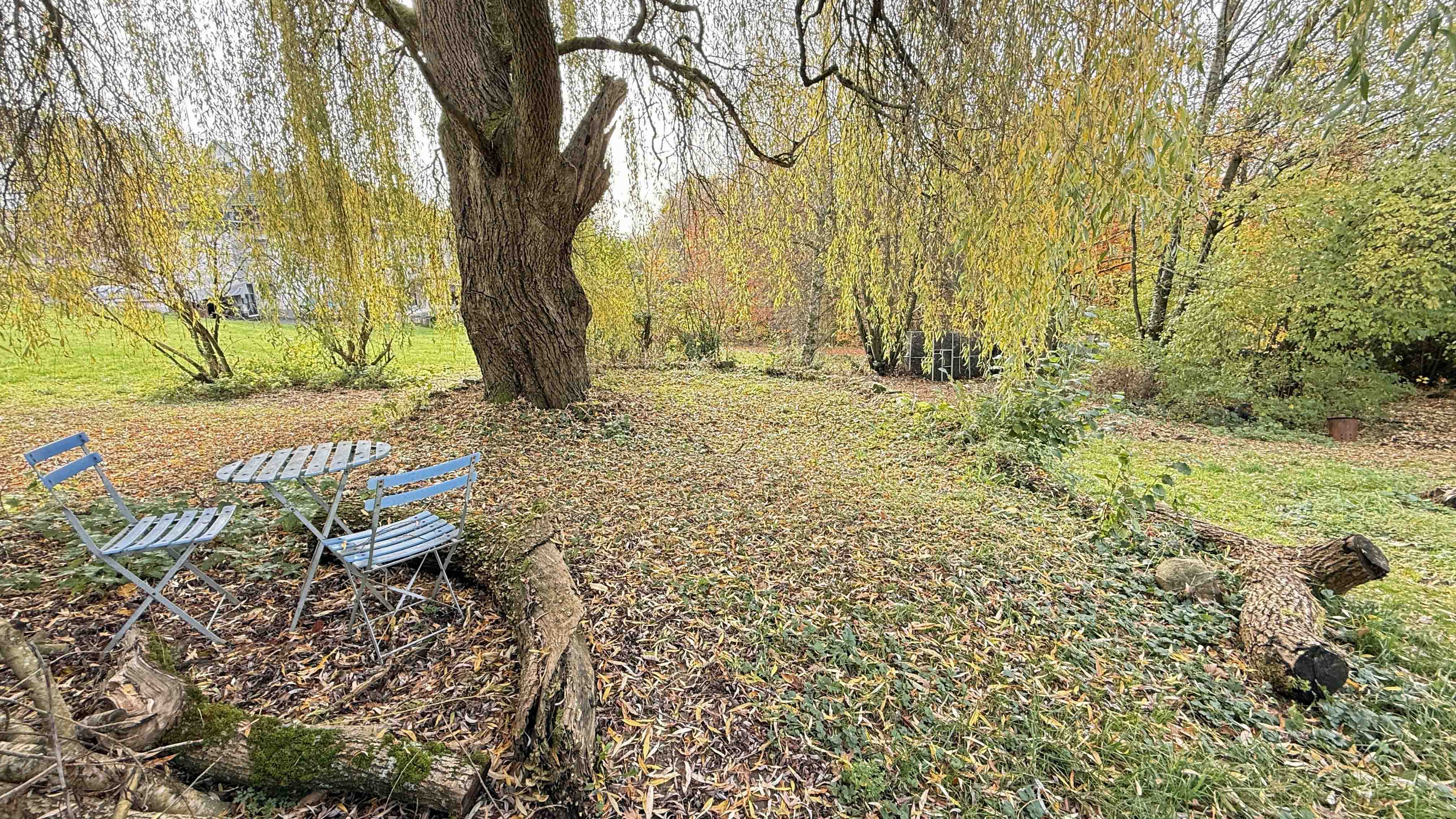 Morsbach-Steimelhagen: Perfekt für das ruhige Landleben, ...Platz im unter der Trauerweide